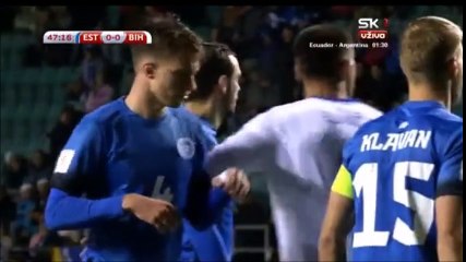Izet Hajrovic Goal vs Estonia (0-1)