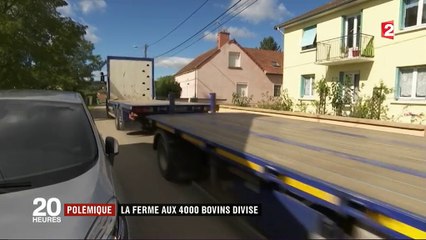 Polémique : la ferme aux 4 000 bovins divise