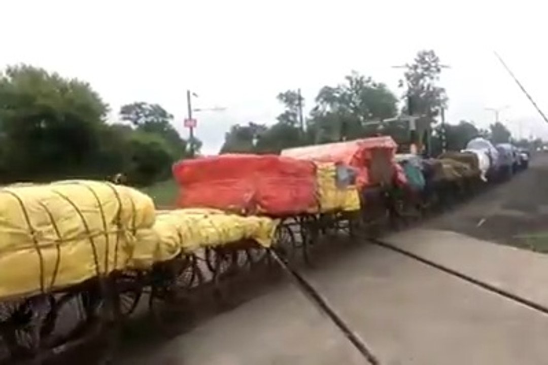 FULL ENTERTAINMENT WhatsApp Video