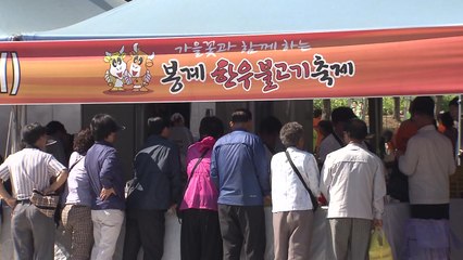입과 눈이 즐거운 가을 축제...봉계한우불고기축제 / YTN