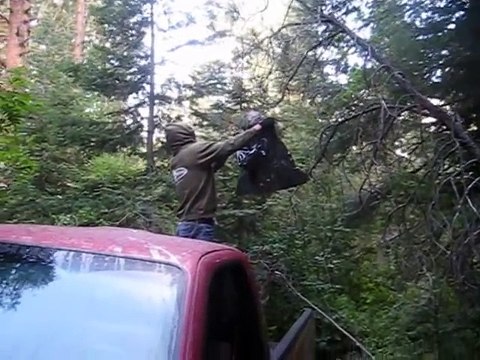 Il enferme un nid de guêpes dans un sac... Et elles ne sont vraiment pas contente!