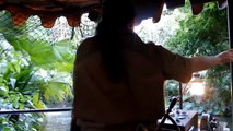 Walt Disney Worlds The Jungle Cruise On Ride POV HD