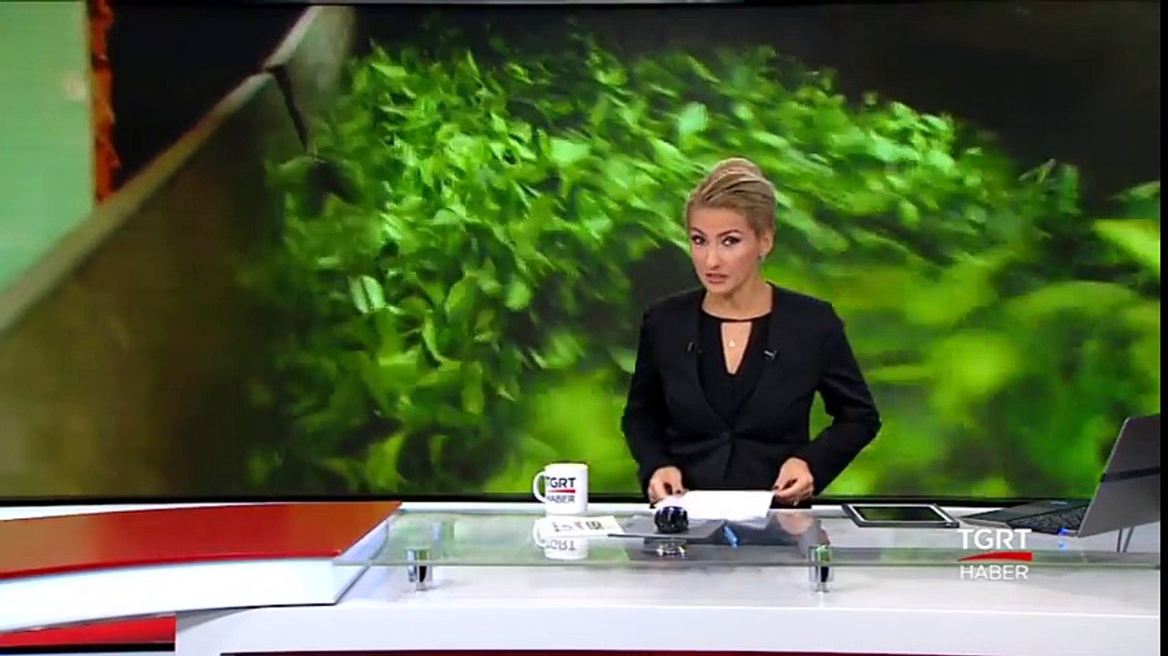 Tirebolu Çayla Anılıyor