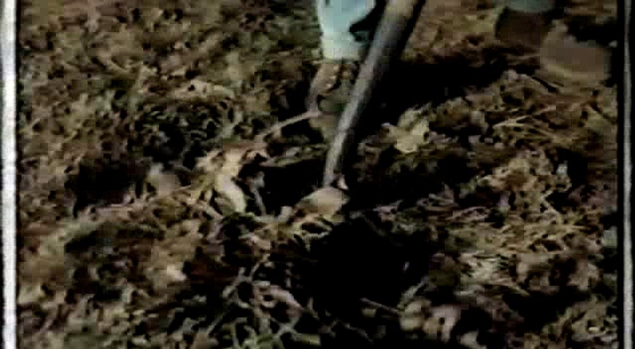 Friday the 13th 6 rychlodabing