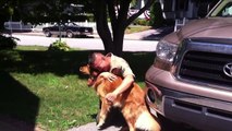 U.S. Navy Sailor Welcomed Home From Afghanistan by His Golden Retriever