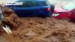WATCH: Torrents, submerged cars and uprooted trees as storm batters Durban