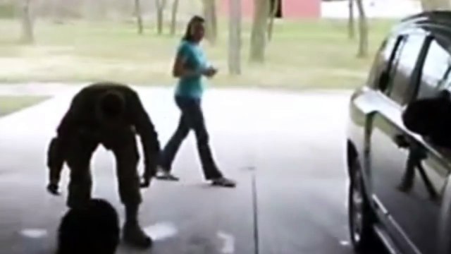 Dog Excitedly Welcomes Home Soldier from Afghanistan