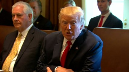 트럼프, 틸러슨 장관에게 "IQ 겨뤄보자" / YTN