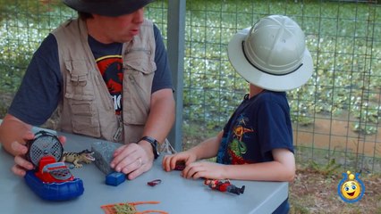 Awesome Gators & Amazing Reptiles at Wildlife Park, Kids Family Fun Playground & Surprise Toys Hunt