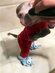 Isso é errado mas eu já vi uma 5 vezes