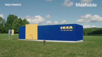 Ikea is launching a pet furniture collection and it's purrfect