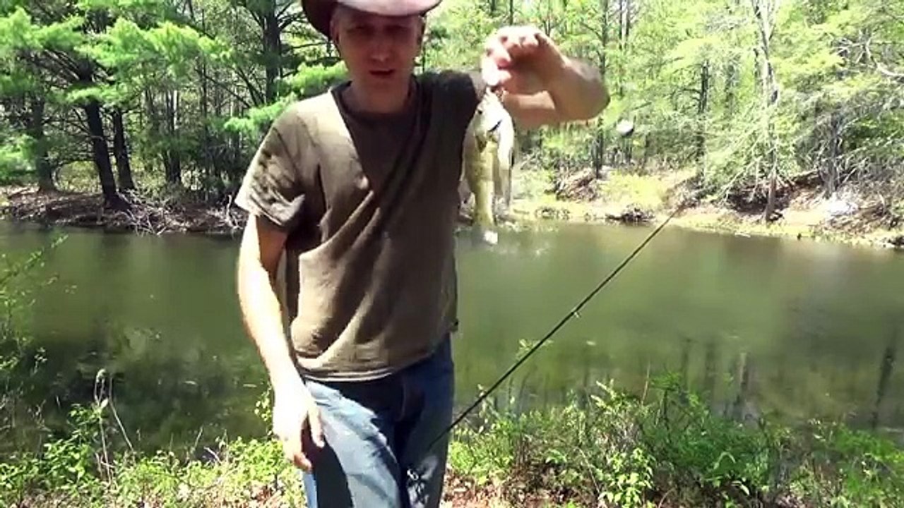 How To Catch Sunfish & Bluegill From Small Lake Or Pond