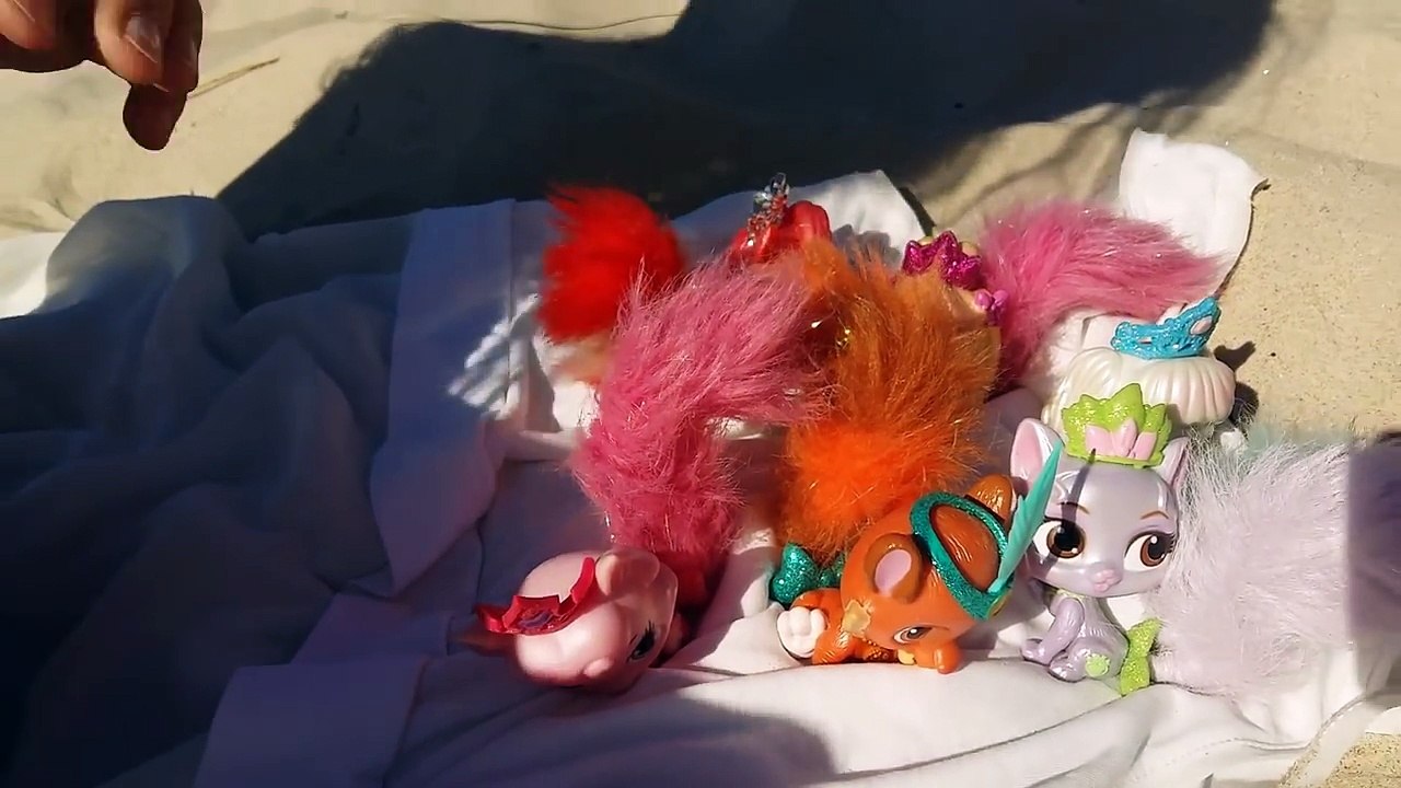 MISS SUNNY IN THE BEACH PLAY WITH PRINCESS DISNEY ПРИНЦЕСЫ ДИСНЕЯ ИГРАЕМ У МОРЯ:)
