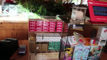 MONTANDO CABALLO TERMINA MAL | Hong Kong Tijuana (HotSpanish Vlogs)