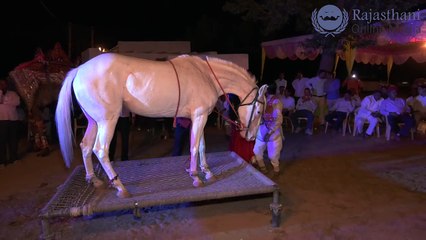 New Marwadi Dj Song 2017 | New Rajasthani Video Song 2017 | New Horse Dance On Dj Remix song