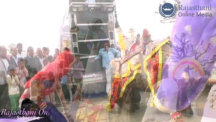 New Marwadi Dj Song 2017 | New Marwadi Marriage Dance | New camel and Girl Dance | New Video Song