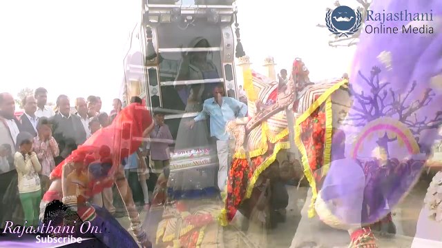 New Marwadi Dj Song 2017 | New Marwadi Marriage Dance | New camel and Girl Dance | New Video Song