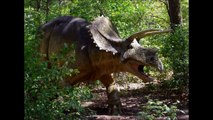 10 Fascinating Extinct Animals: Creature Countdown - FreeSchool