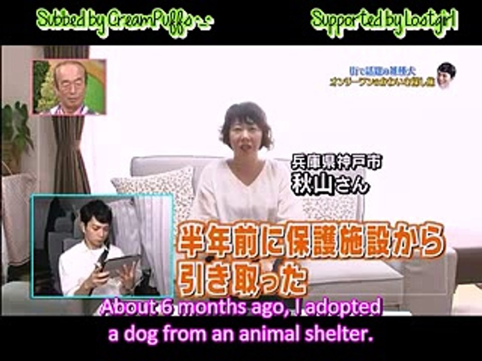 (ENG SUB) Jun meets an alpaca puppy!