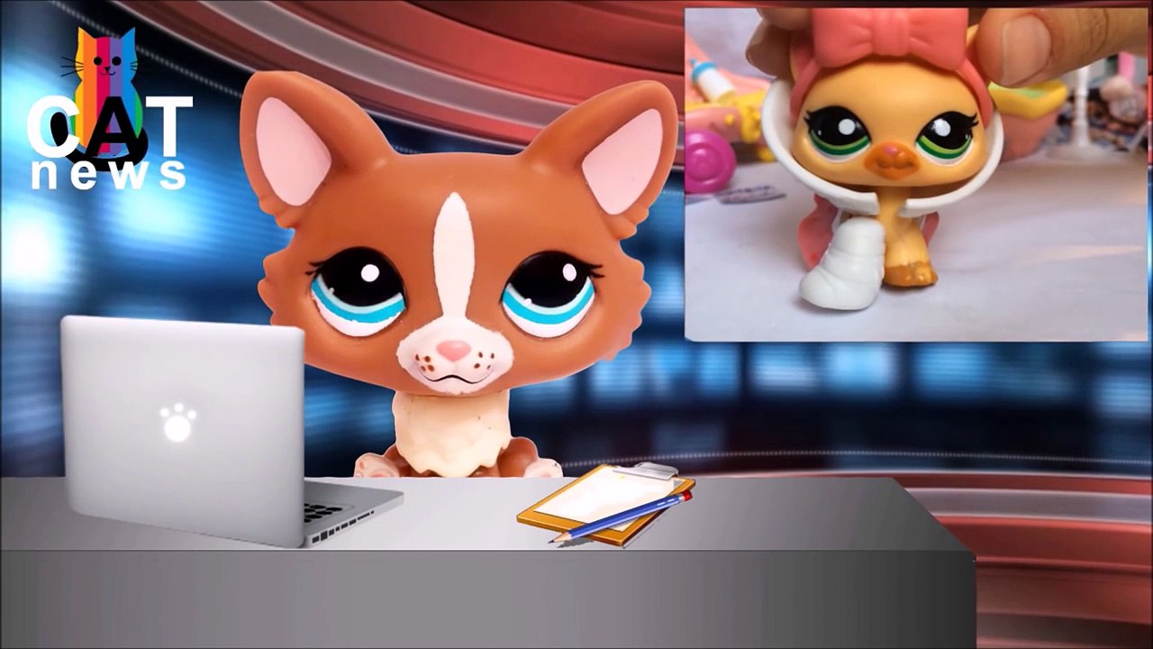 LPS: Addicted to Taking Over the World! (My Strange Addiction: Episode 19 / FINALE) ♦START HERE!♦