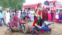 भारत और  पाकिस्तान के फाइनल मुकाबले के बाद इस लड़की ने किया ऊट के साथ डांस | Rajasthani Girl dance