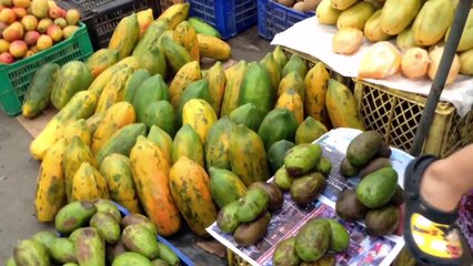 Breastfeeding mom vlog : sleeping in a tent and fruit market in Salinas Ecuador