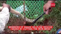 snake saved thank god