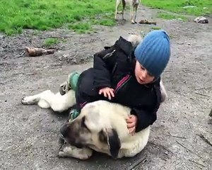 Kangalla oyun oynamak