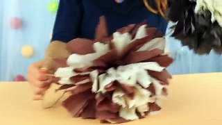 DIY Crepe Paper Flowers