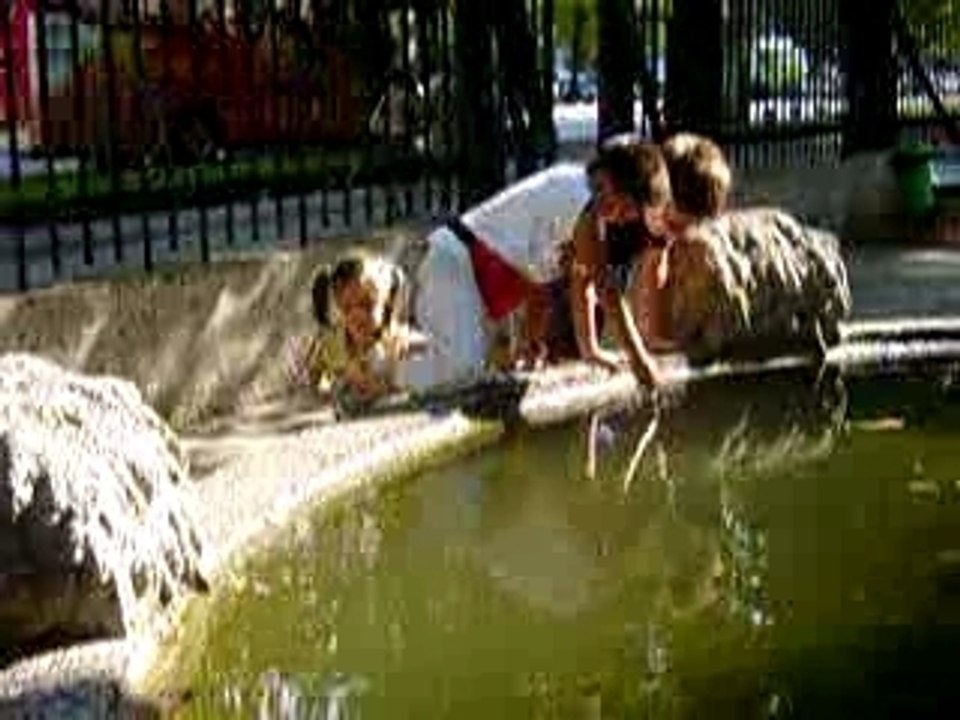 all'Acquario civico con musica dei Pooh
