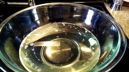 100% Coconut Oil Soap Making Tutorial