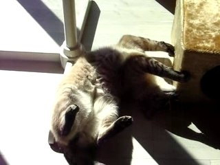 Mon ange au soleil 09.09.2006