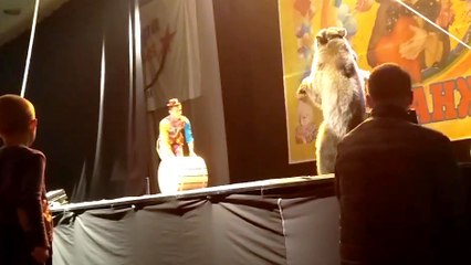 Un ours attaque un montreur d'ours