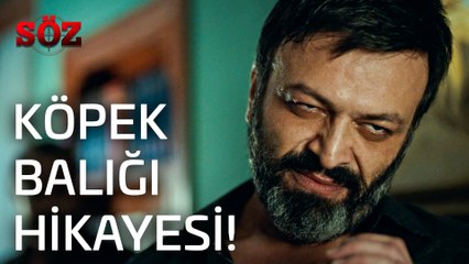 Söz | 16.Bölüm - Köpek Balığı Hikayesi!