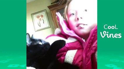 komik kedi ve köpekler 2017