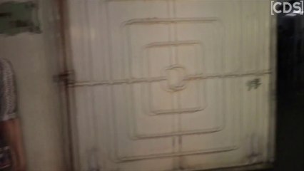 Adah Sharma Hot At Solo Movie Screening   | Adaha Sharma Hot Dance Performance 2017