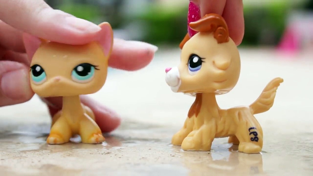 LPS POOL PARTY! | Alice LPS