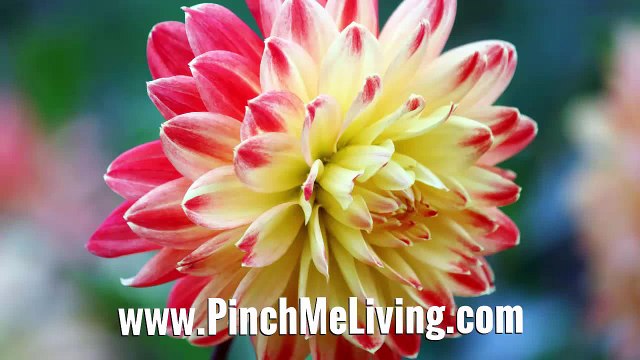 120 Positive Affirmations for Confidence & Self-Belief