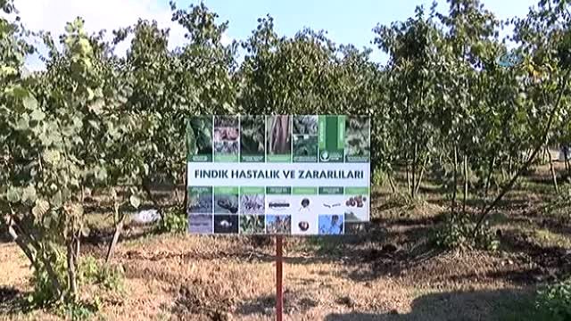 Ziraat Mühendisleri Uyardı: Hasat Sonrası Bahçelerinizi Terk Etmeyin