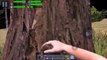 Rust en Android? - The Survivor : Rusty Forest - GamePlay