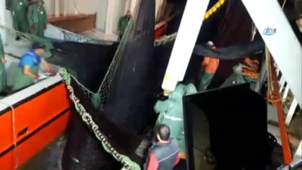 Karadeniz'de Palamut Bolluğu