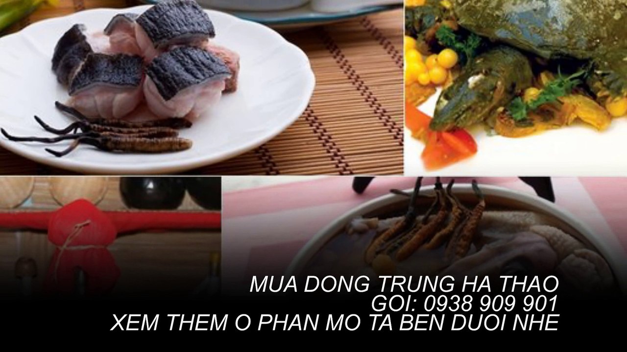 ĐÔng trùng hạ thảo ở tại QUẬN 5,QUẬN 1,QUẬN 3