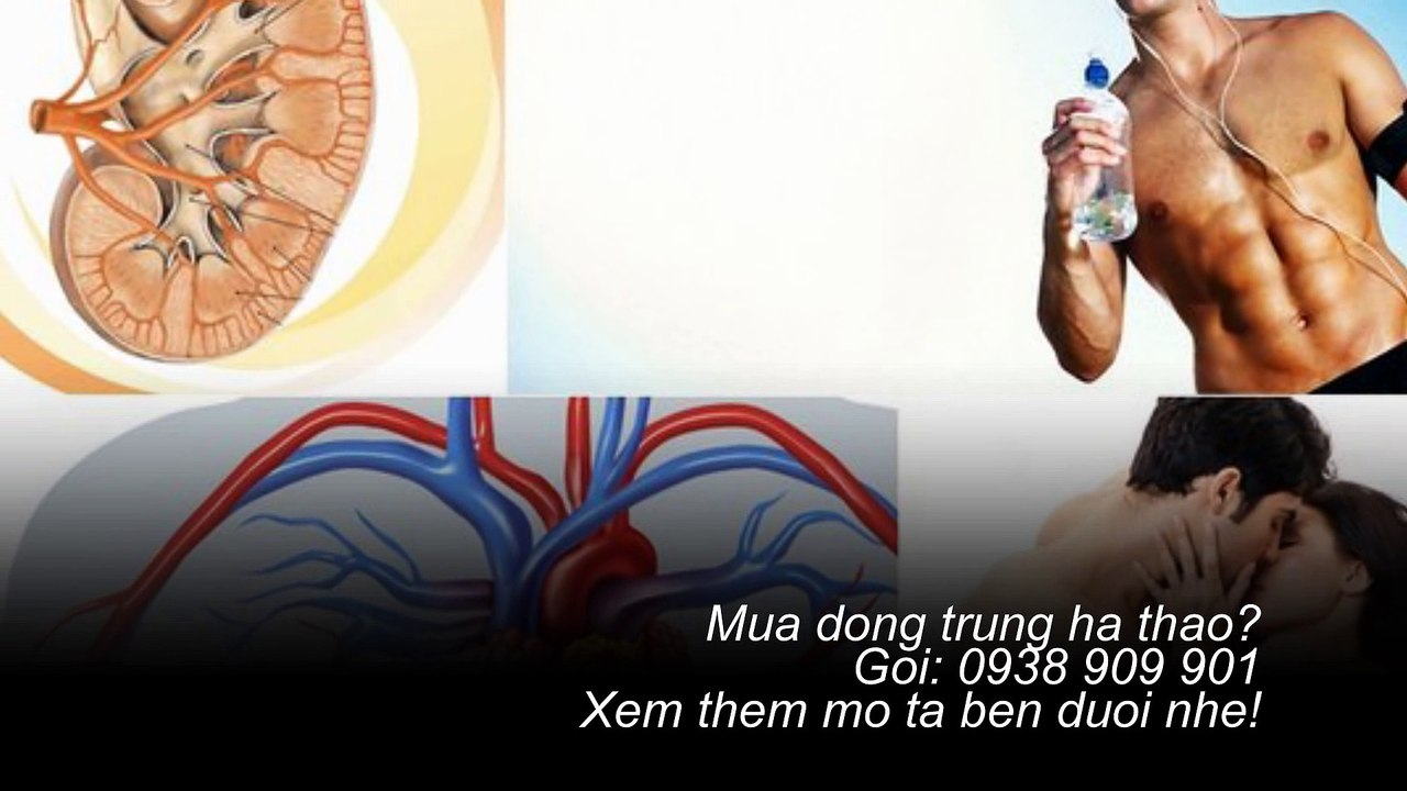 Tìm hiểu đông trùng hạ thảo tốt cho nam giới thật không