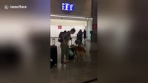 Excited dog greets owner after eight month trip