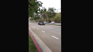 Guy throws rock at Lamborghini Aventador