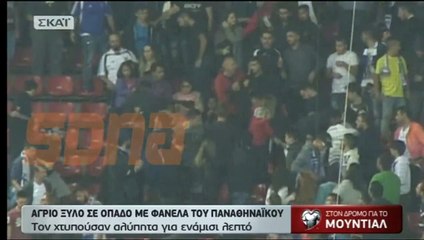 Face à Gibraltar, un fan grec est venu avec un maillot du Pana dans le stade de l'Olympiakos
