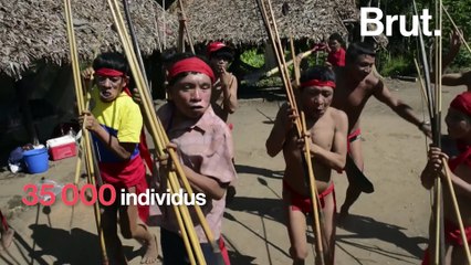 La tribu Yanomami, proie des chercheurs d'or en Amazonie