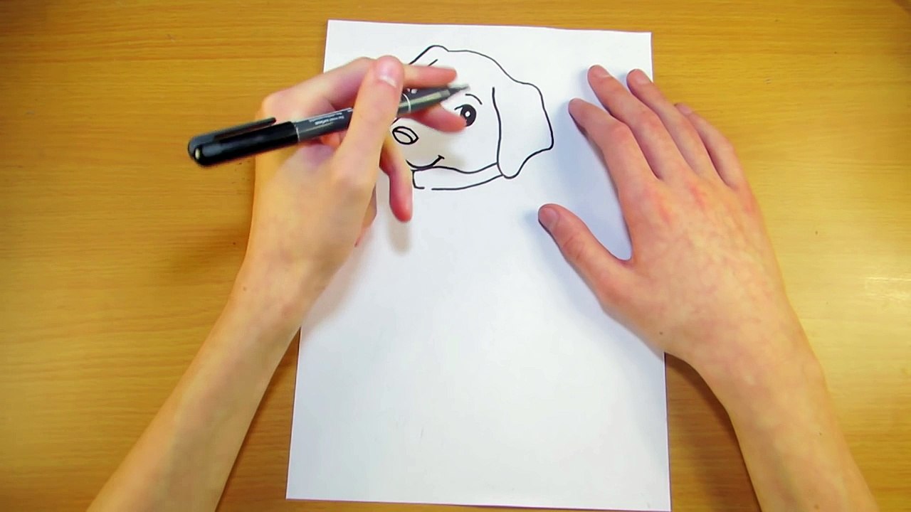 Как Нарисовать Собаку | Милый маленький щенок | Рисуем Лабрадора | Уроки Рисования