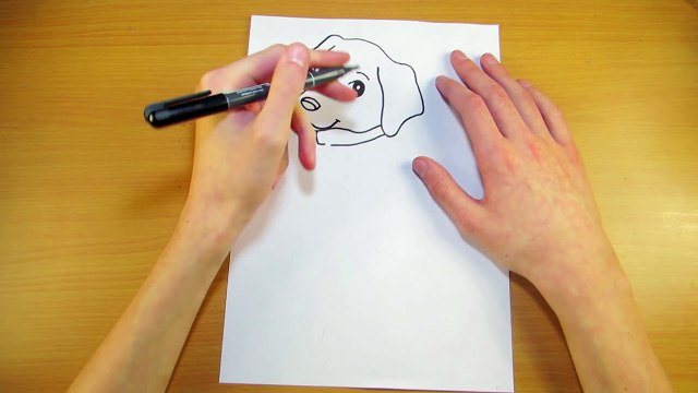 Как Нарисовать Собаку | Милый маленький щенок | Рисуем Лабрадора | Уроки Рисования