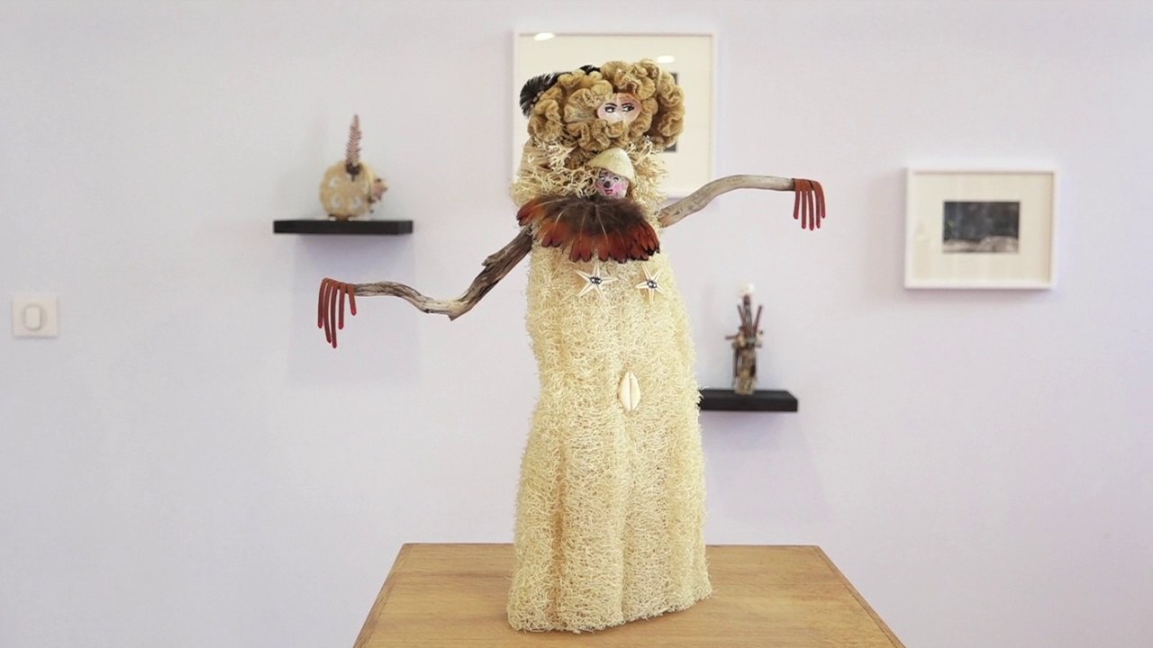 Karine ROUGIER. Collection: Fabrique des regards et Voir et savoir(s). La notion de collection